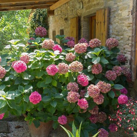 Casa La Valle, Gubbio, Frazione Santa Cristina Panzió Kültér fotó