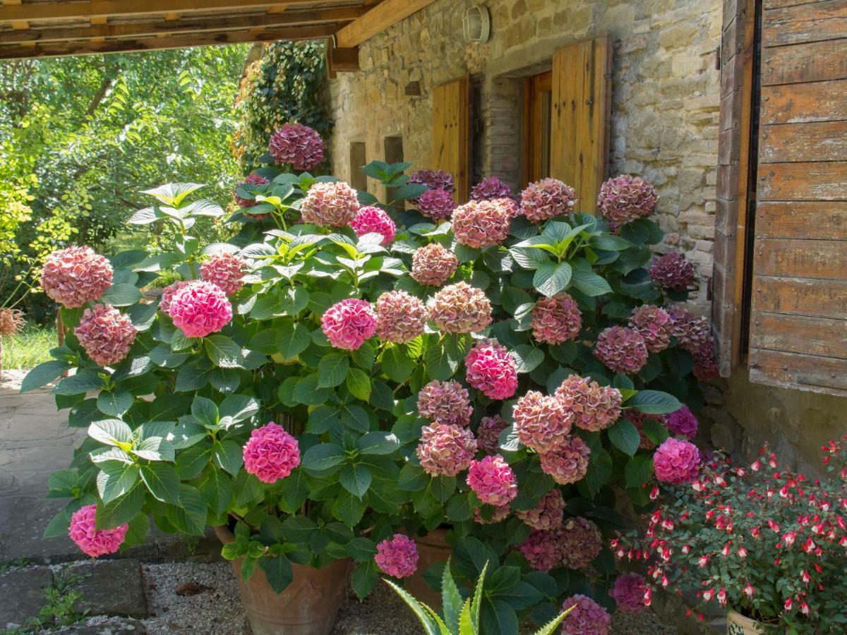Casa La Valle, Gubbio, Frazione Santa Cristina Panzió Kültér fotó